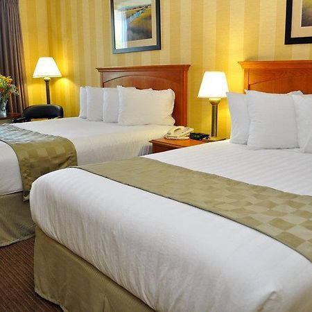 Best Western Central Plaza Stafford Room photo